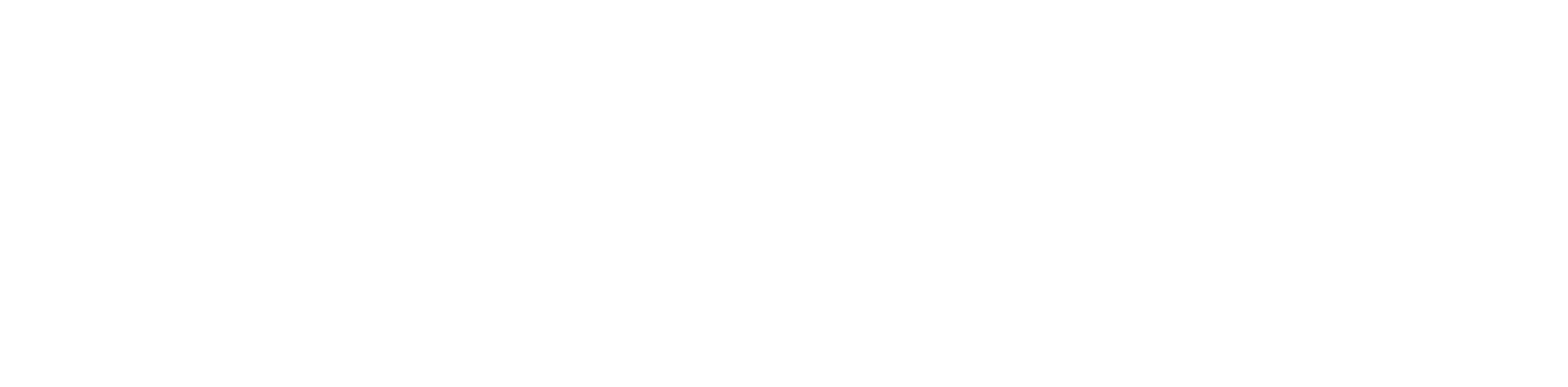 Rapid Finance